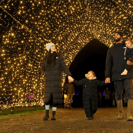 Christmas Light Hire