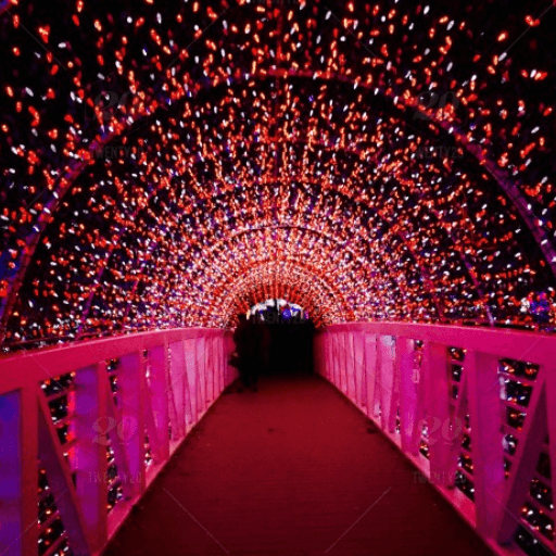 Christmas Light Trail Hire