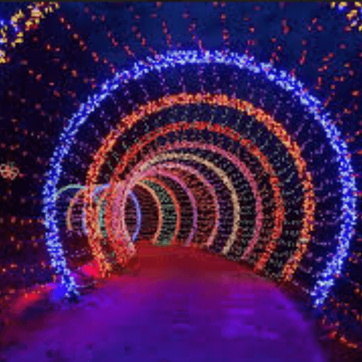 Christmas Lights Trail Rental